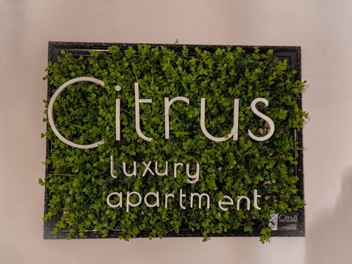 Citrus Luxury Apartment - Holiday Apartment With Up To 3 Bedrooms In Palermo Center Exterior foto